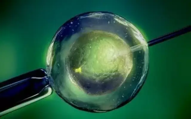 私人拉拉借卵代怀助孕咨询